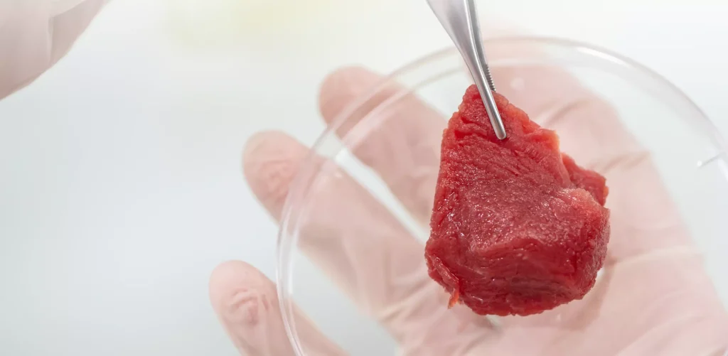 Άρχισε το «προμοτάρισμα» του τεχνητού κρέατος στην Ελλάδα: «Είναι νοστιμότατο και απαραίτητο γιατί είμαστε 8 δισ. στον πλανήτη»