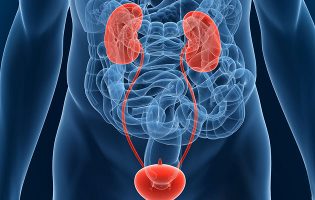 Καρκίνος της ουροδόχου κύστης: Συμπτώματα και αντιμετώπιση – Όλα όσα πρέπει να γνωρίζετε