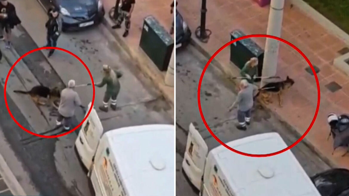 Ελεύθερη μέχρι την δίκη η ιδιοκτήτρια του λυκόσκυλου που κατασπάραξε το κανίς στη Δραπετσώνα