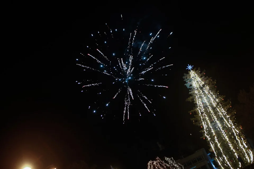 Τρίκαλα: Φωταγωγήθηκε το μεγαλύτερο φυσικό χριστουγεννιάτικο δέντρο της Ελλάδας (βίντεο)