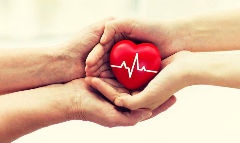 Ο πρώτος οδηγός στην Ελλάδα για τη δωρεά και μεταμόσχευση οργάνων