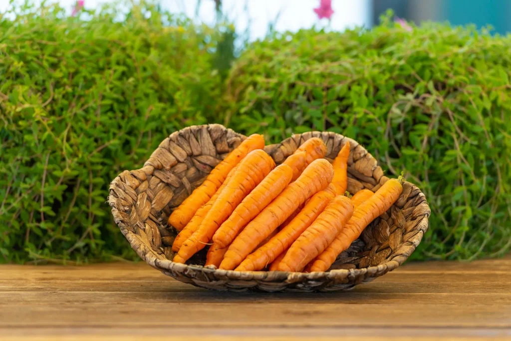 Ο απίστευτος λόγος που τα καρότα είναι πορτοκαλί