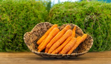 Ο απίστευτος λόγος που τα καρότα είναι πορτοκαλί