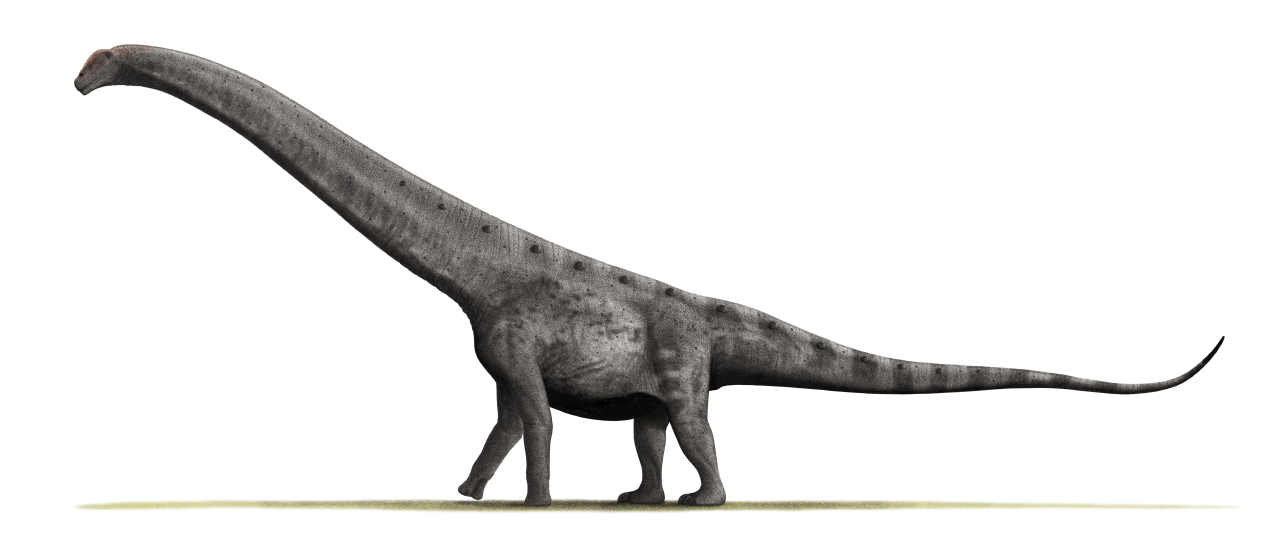 Γνωρίστε τον τιτανόσαυρο – «Ένα μεγαθήριο 57 τόνων» (βίντεο)