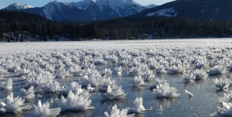 Παράξενο φαινόμενο με παγωμένα «λουλούδια» στην παγωμένη επιφάνεια θαλάσσιων υδάτων (φωτο)