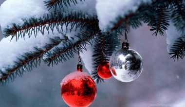 Τα Μερομήνια «μίλησαν»: Δείτε τι καιρό θα κάνει τα Χριστούγεννα – Πότε τα πρώτα χιόνια