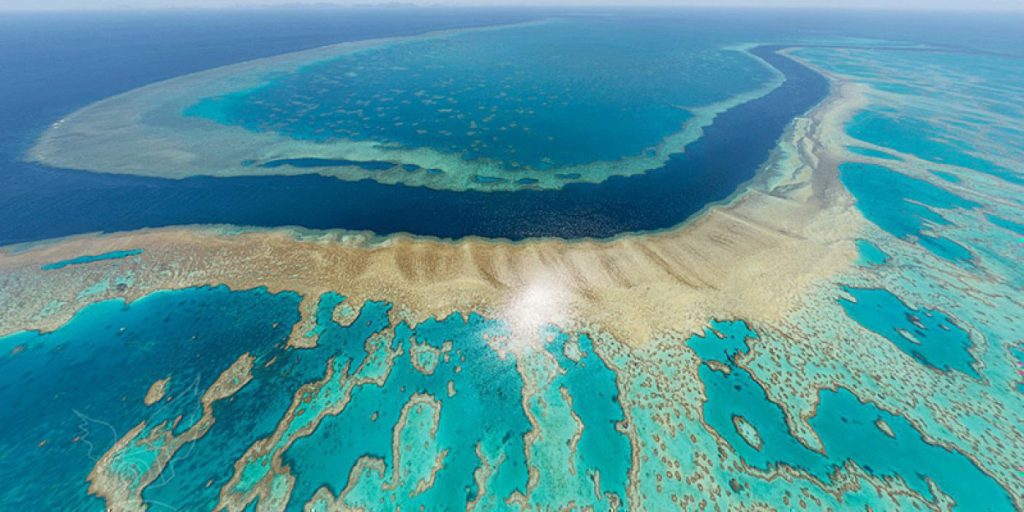 Γιατί ο Μεγάλος Κοραλλιογενής Ύφαλος βρίσκεται σε κίνδυνο; (βίντεο)
