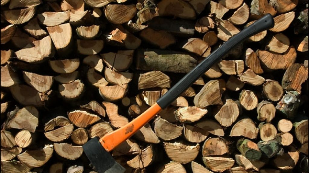 Χαλκίδα: Έπιασαν «στα πράσα» λαθροϋλοτόμους και ο ένας υπέστη καρδιακό επεισόδιο όταν συνελήφθη