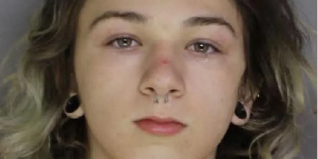 ΗΠΑ: 16χρονος σκότωσε γυναίκα και αναζητούσε στο Instagram πώς να ξεφορτωθεί το πτώμα