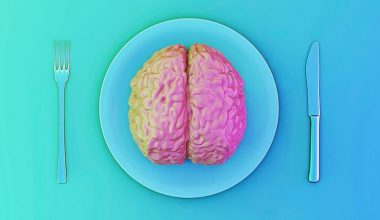 Νέα μελέτη: Αυτές είναι οι τροφές που δυναμώνουν τον εγκέφαλο
