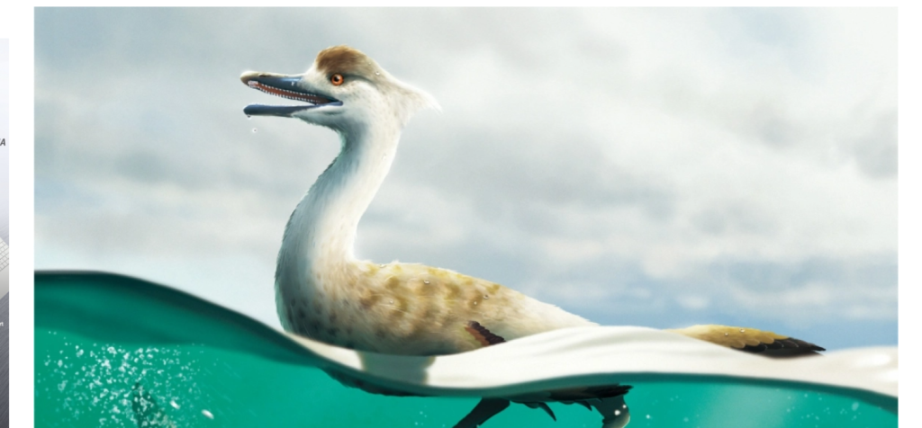 Νέο είδος σαρκοβόρου δεινοσαύρου με «αεροδυναμικό» σώμα ανακαλύφθηκε στη Μογγολία