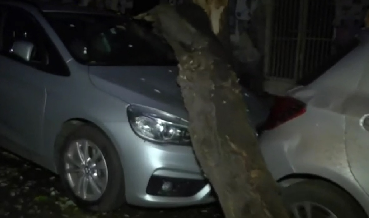 Θεσσαλονίκη: Πτώσεις δέντρων λόγω των ισχυρών ανέμων της κακοκαιρίας «Άριελ»