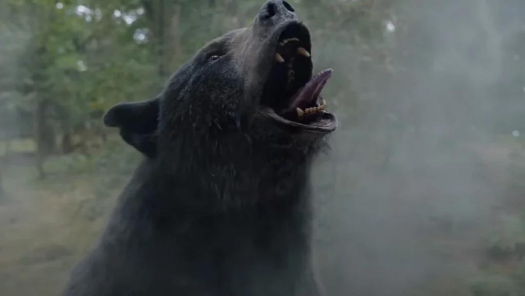 Cocaine Bear: Το νέο θρίλερ για μια αληθινή ιστορία, με μία αρκούδα που πέθανε από υπερβολική δόση κοκαΐνης