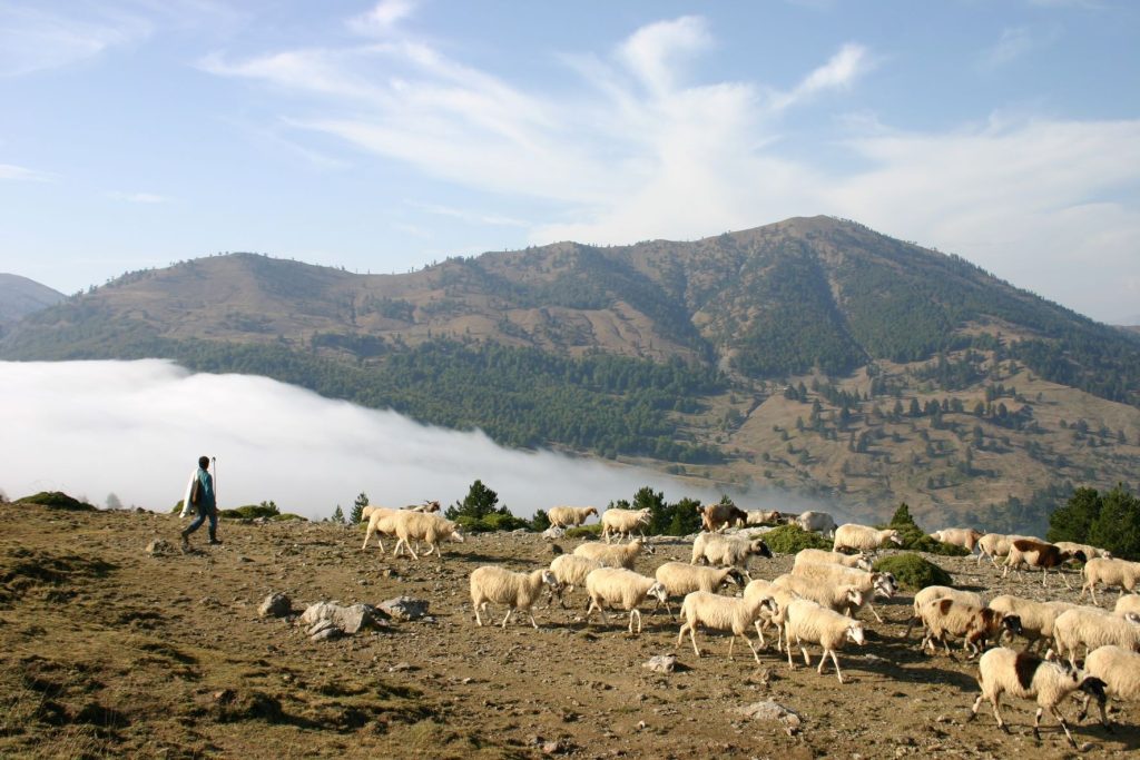 Όταν οι Νεάντερταλ… περπατούσαν στον Σμόλικα – Τα ευρήματα που βρέθηκαν