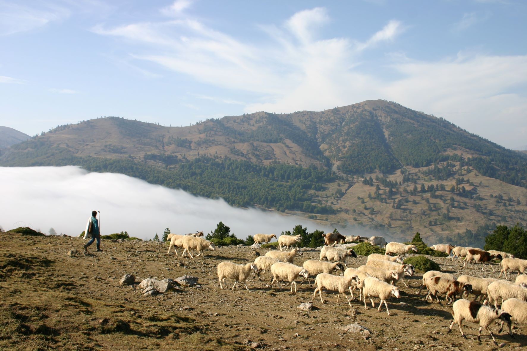 Όταν οι Νεάντερταλ… περπατούσαν στον Σμόλικα – Τα ευρήματα που βρέθηκαν