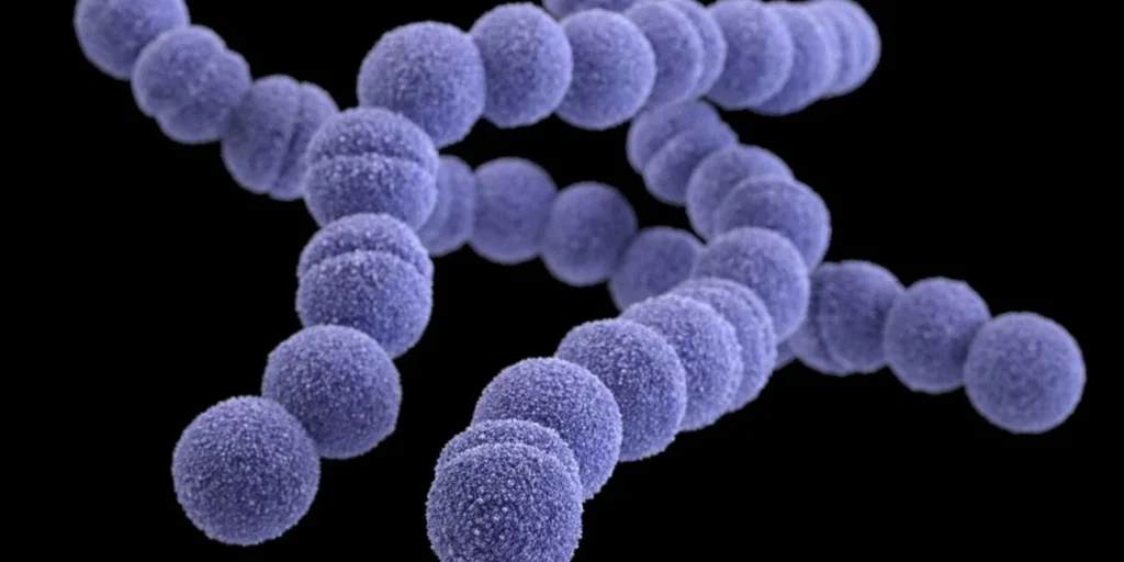 Βρετανία: 7ος θάνατος από στρεπτόκοκκο – «Συναγερμός» από τους ειδικούς