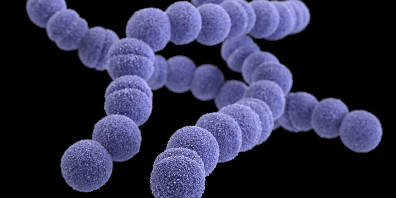 Βρετανία: 7ος θάνατος από στρεπτόκοκκο – «Συναγερμός» από τους ειδικούς