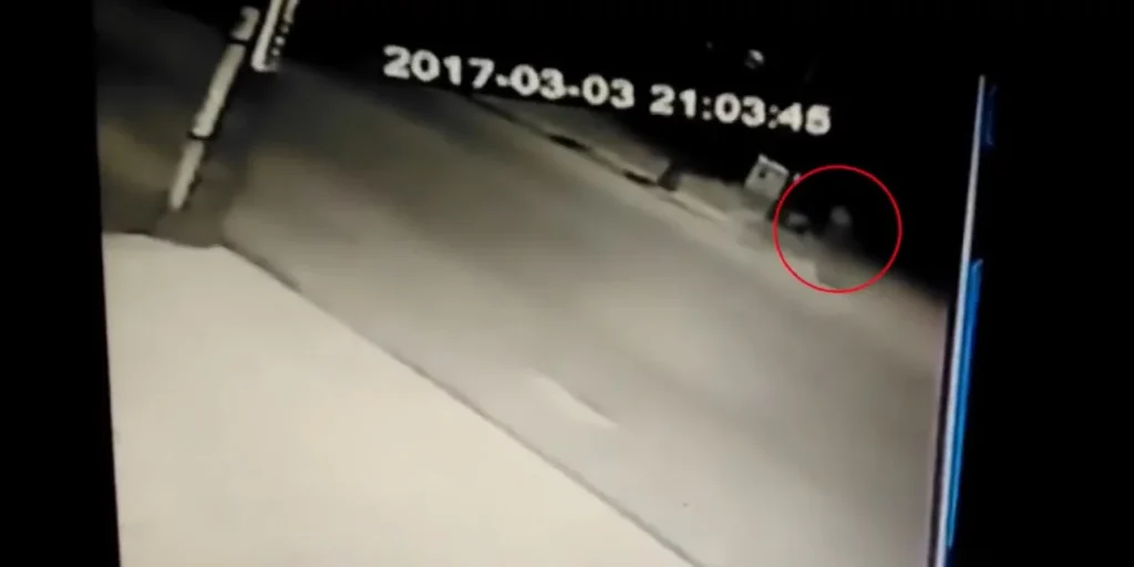 Ημαθία: Καταδικάστηκε 23χρονος για παράσυρση 14χρονης μαθήτριας το 2017 – Τη χτύπησε και την εγκατέλειψε