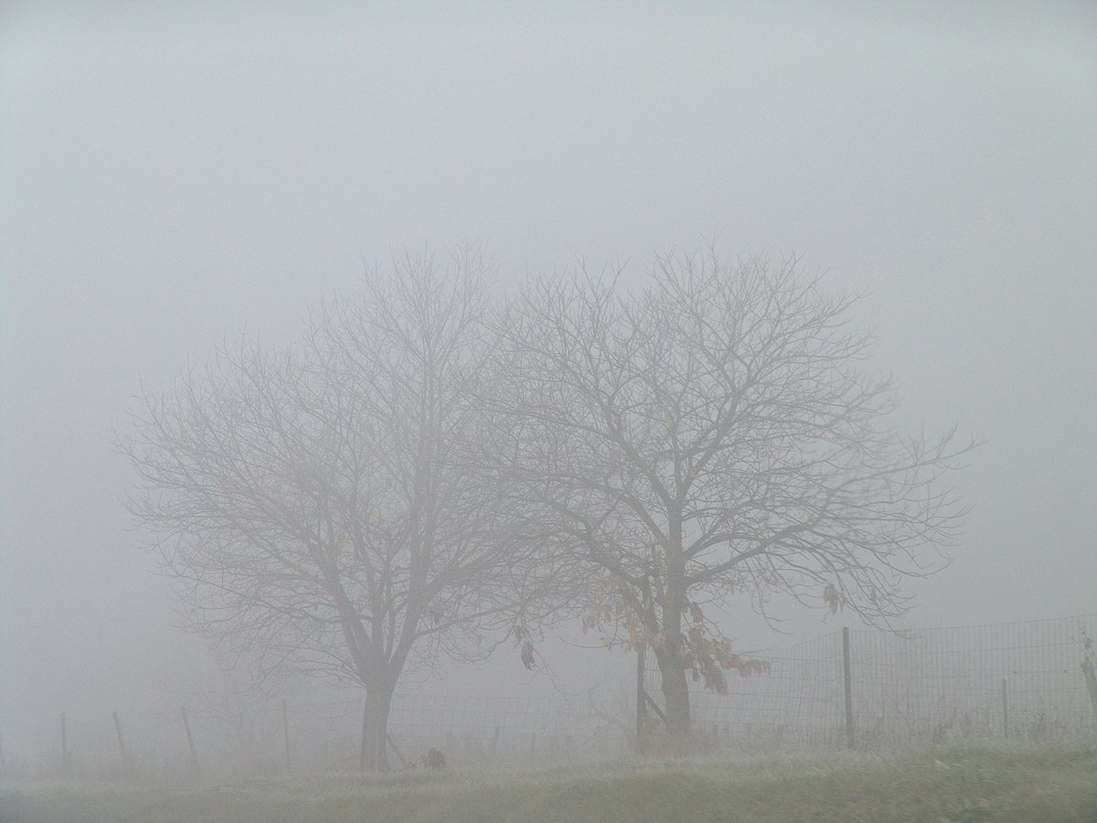 Εύβοια: Πυκνή ομίχλη “σκέπασε” την περιοχή του Δήμου Καρύστου – Έκκληση στους πολίτες να προσέχουν τις μετακινήσεις τους