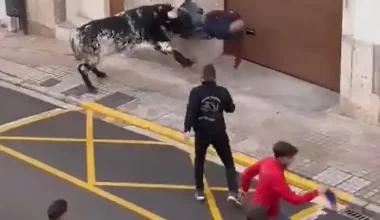 Ισπανία: Βίντεο καταγράφει τη στιγμή που ένας άνδρας δέχεται επίθεση από μαινόμενο ταύρο (βίντεο)