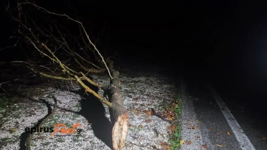 Κακοκαιρία Gaia: Έκλεισαν δρόμοι από πτώσεις δέντρων στα Ιωάννινα (φώτο)