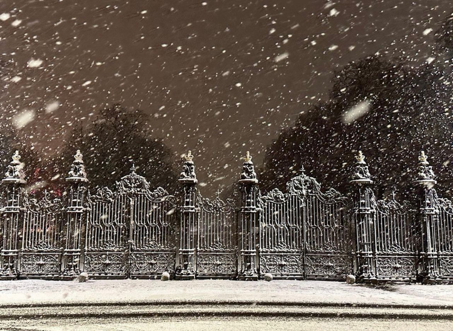 Βρετανία: Χιονίζει στο Λονδίνο και βγήκαν οι αλεπούδες στους δρόμους (βίντεο-φωτο)