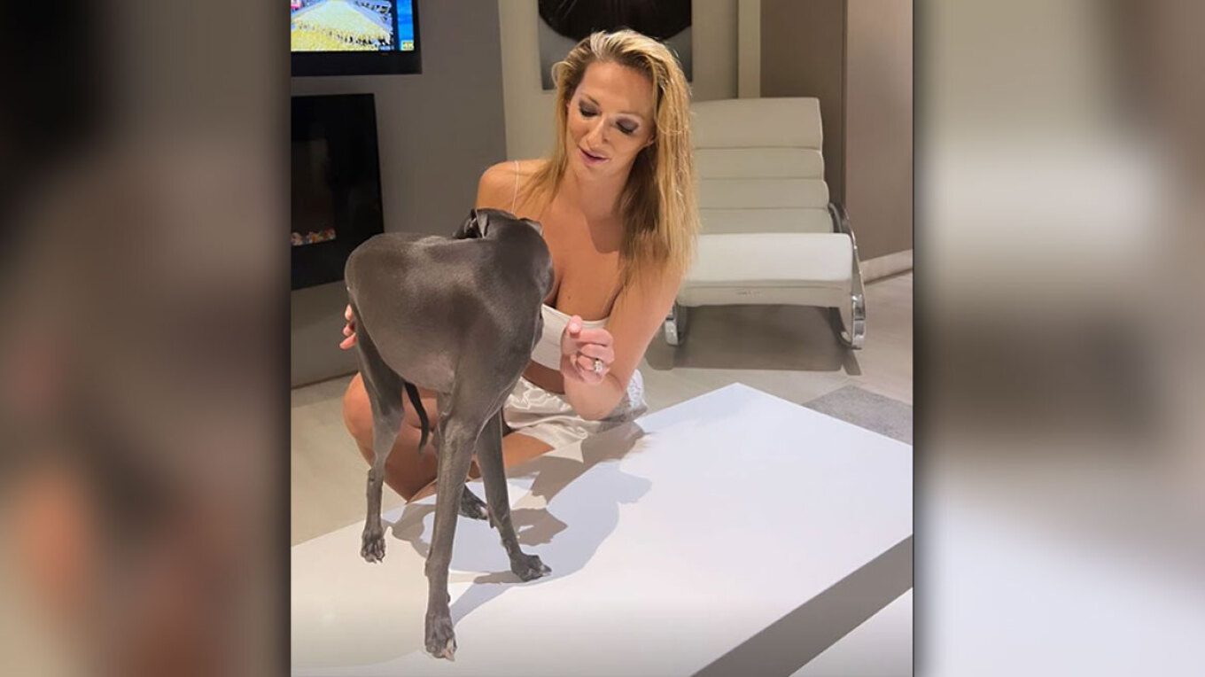 Ο Νίκος Παππάς αποκαλύπτει πώς του «έφαγε» 880 ευρώ η καλλονή με το σκυλάκι