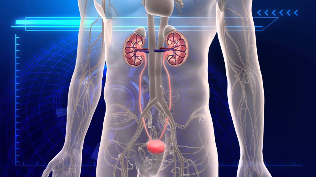 Ουρολοίμωξη: Απαντήσεις σε έξι απορίες που έχουμε όλοι