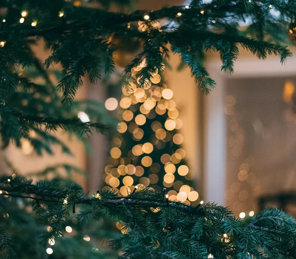 Πώς στόλιζαν οι αρχαίοι για Χριστούγεννα; – Υπήρχε Χριστουγεννιάτικο δέντρο;