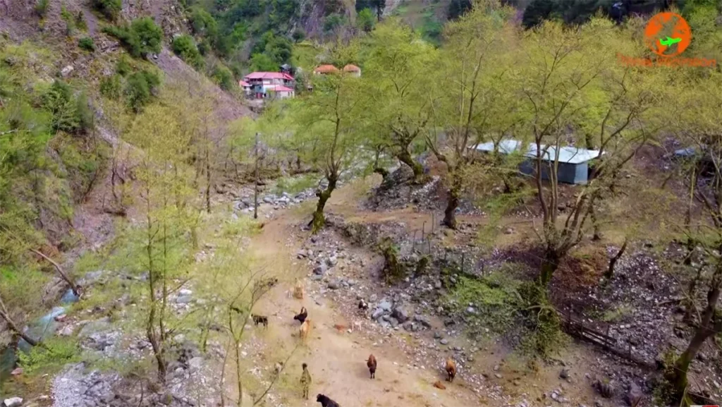 Χοντέικα, ένας από τους πιο κρυφούς οικισμούς της Ελλάδας (βίντεο)