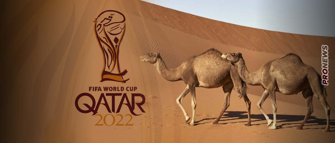 Ανησυχία για την «γρίπη της καμήλας» μετά το Μουντιάλ – Μολύνθηκαν 3 Γάλλοι ποδοσφαιριστές – Πώς κολλούν οι ασθενείς
