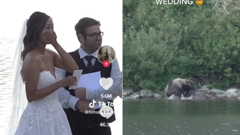 Μοντάνα: Τραβούσαν βίντεο γάμου και απαθανάτισαν τη στιγμή που αρκούδα «κατακρεουργούσε» ελάφι (βίντεο)