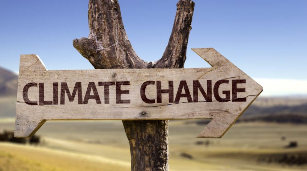Κλιματική αλλαγή: Γιατί σε κάποια μέρη η θερμοκρασία δεν ανεβαίνει;