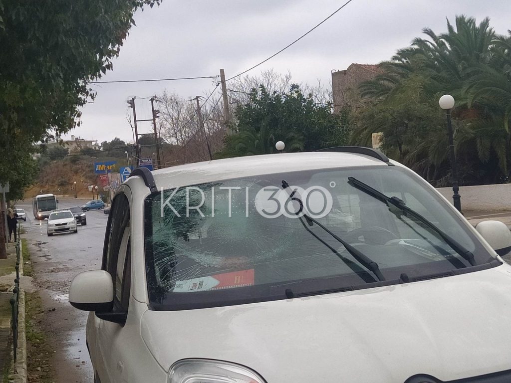 Κρήτη: Απίστευτο τροχαίο – Πάπια έπεσε ουρανοκατέβατη στο παρμπρίζ διερχόμενου ΙΧ!