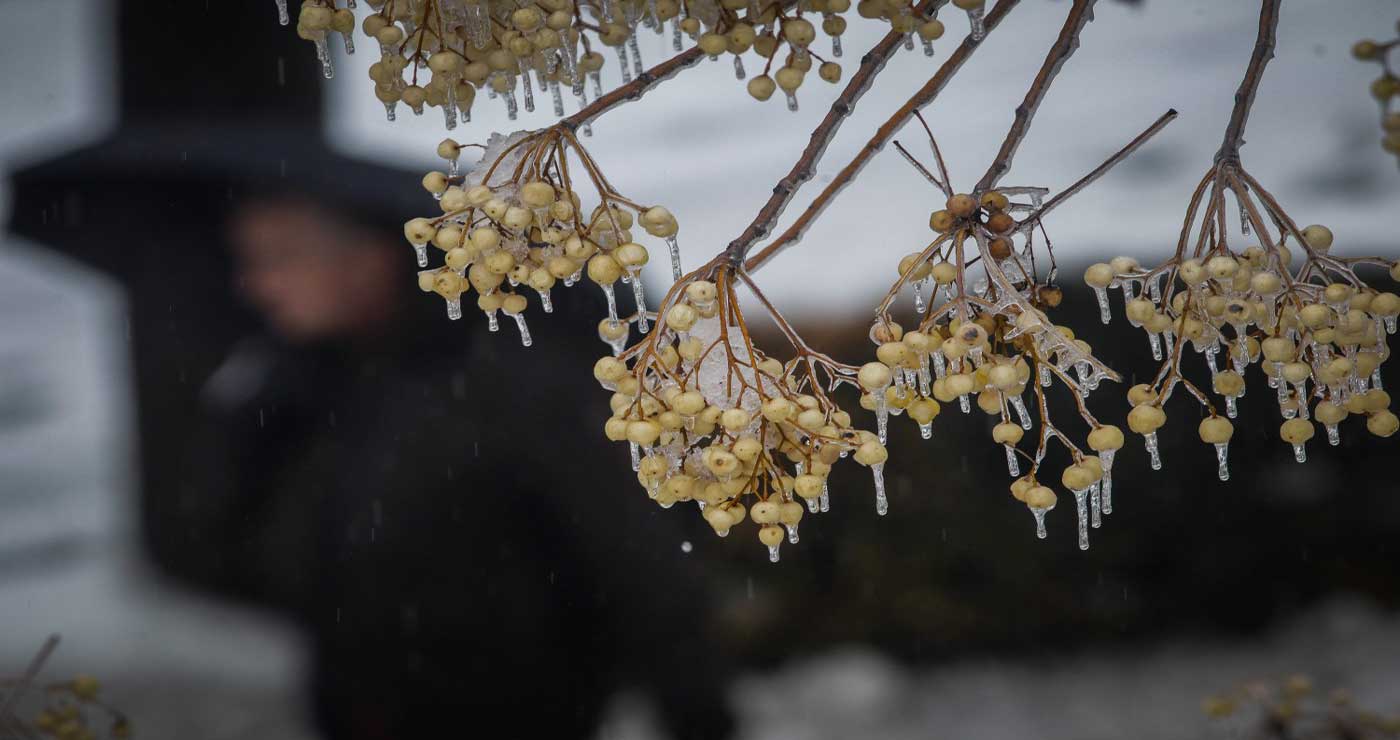 Meteo: Στους -7 η θερμοκρασία το πρωί – Οι οκτώ πιο κρύες περιοχές (φωτο)