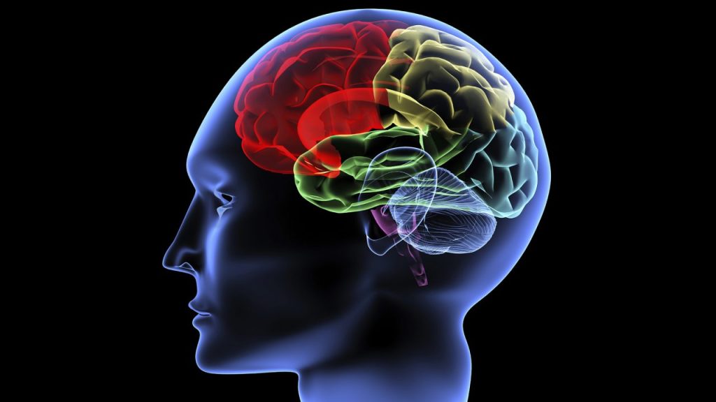 Εγκεφαλικό: Αυτά είναι τα συμπτώματα – Βασικός οδηγός για όλους