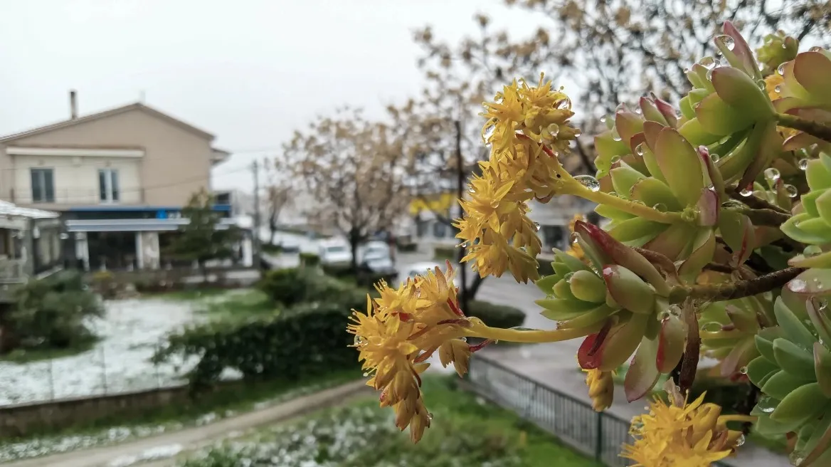 Καιρός: Στο Οχυρό Νευροκοπίου η χαμηλότερη θερμοκρασία των Χριστουγέννων (φωτο)