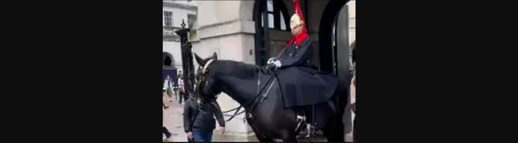 «Βασιλικό» άλογο δαγκώνει… τουρίστα που πόζαρε μπροστά του (βίντεο)