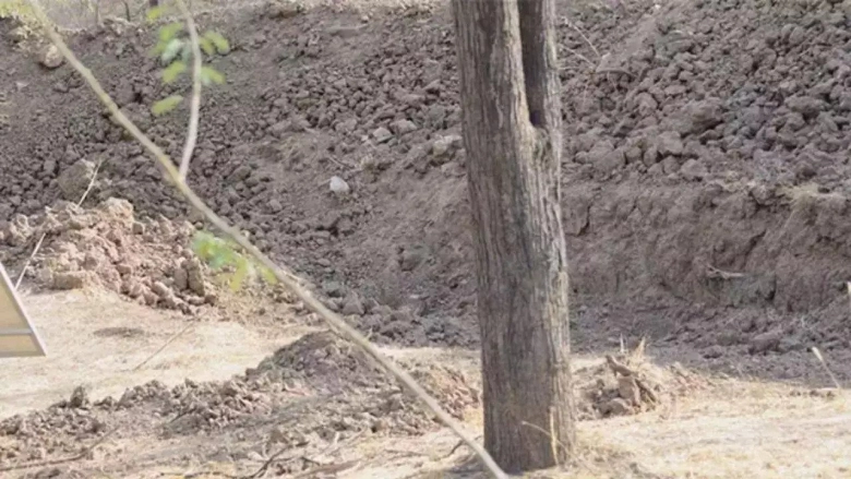 Ο γρίφος που έχει γίνει viral: Εσύ μπορείς να βρεις την κρυμμένη λεοπάρδαλη στην εικόνα;