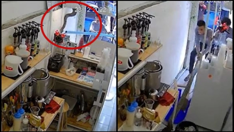 Στιγμές τρόμου για μια σερβιτόρα: Αντίκρισε ένα τεράστιο πύθωνα να κρέμεται από το ταβάνι (βίντεο)