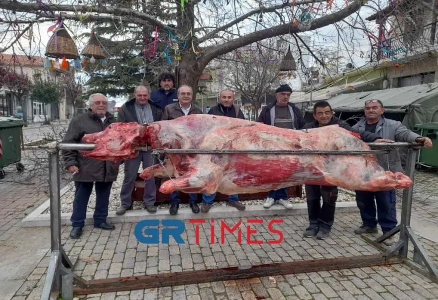 Στον Έβρο η μεγαλύτερη σούβλα της χρονιάς με μοσχάρι 360 κιλών (φωτο)