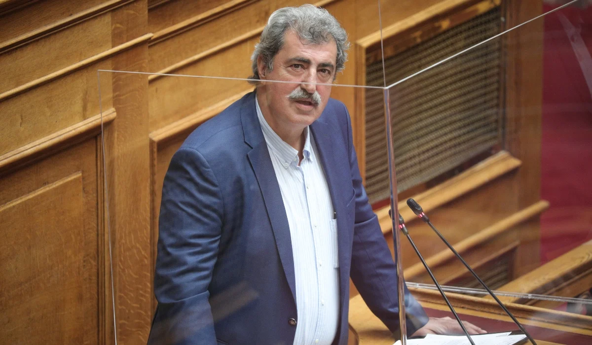 Παύλος Πολάκης: «Άμεσα επανακρατικοποίηση της ΔΕΗ και στοπ στο πάρτι των παρόχων»
