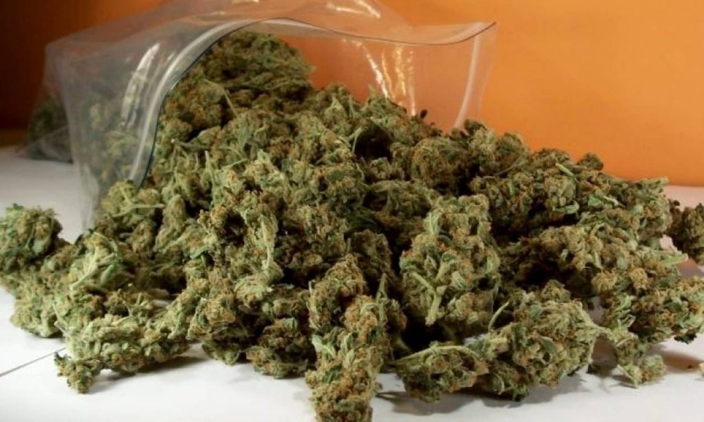 Κύπρος: Πάνω από 28 κιλά κάνναβης ξεβράστηκαν σε παραλία