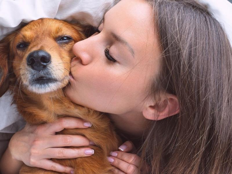Τι μπορεί να προκαλέσουν τα «φιλιά» ανάμεσα σε σκύλους και ανθρώπους;