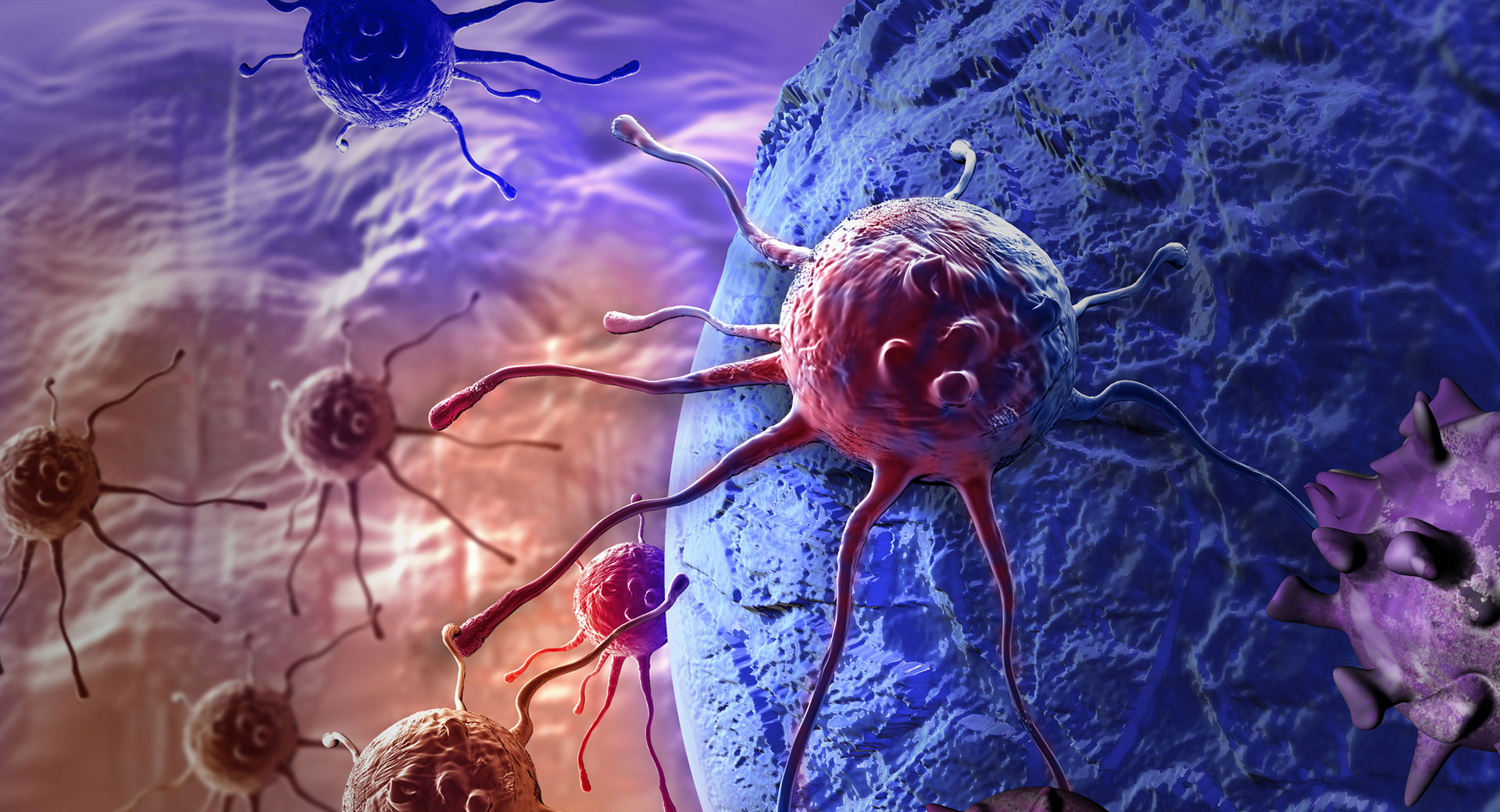 Οι δέκα κυριότερες συνήθειες που μπορούν να μειώσουν τον κίνδυνο εμφάνισης καρκίνου