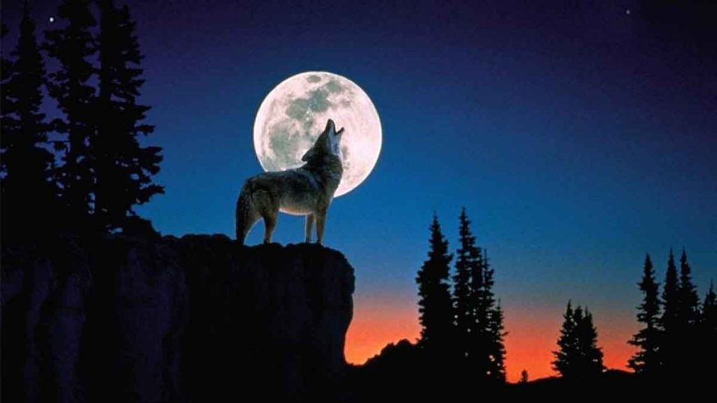 Πανσέληνος Ιανουαρίου: Η πρώτη για το 2023 με το «Φεγγάρι του Λύκου» – Πότε είναι