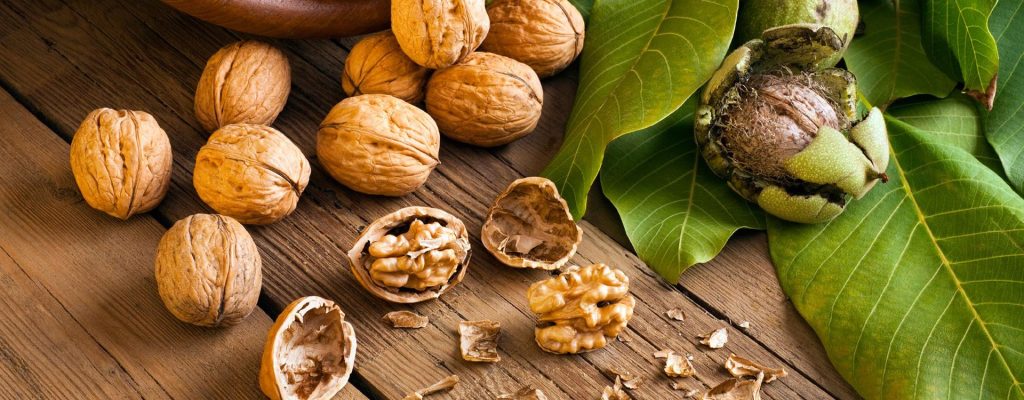Νέα έρευνα αποκαλύπτει τα εκπληκτικά οφέλη που έχει για την υγεία μια χούφτα καρύδια