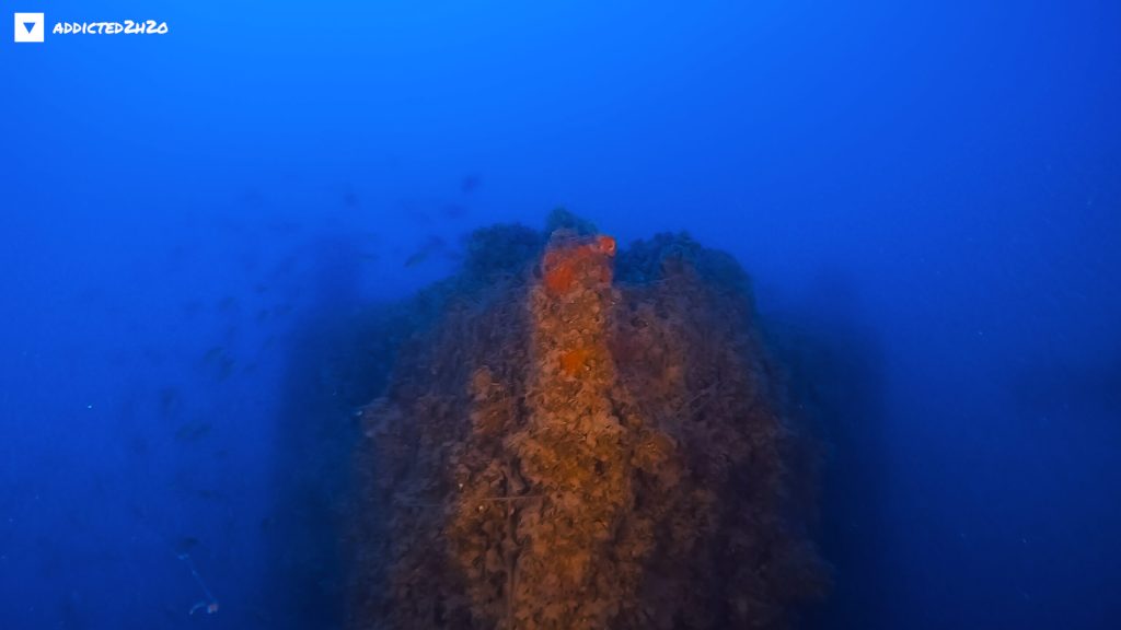 Ξυλόκαστρο: Δύτες εξερεύνησαν το άγνωστο ναυάγιο ενός ρυμουλκού (βίντεο)