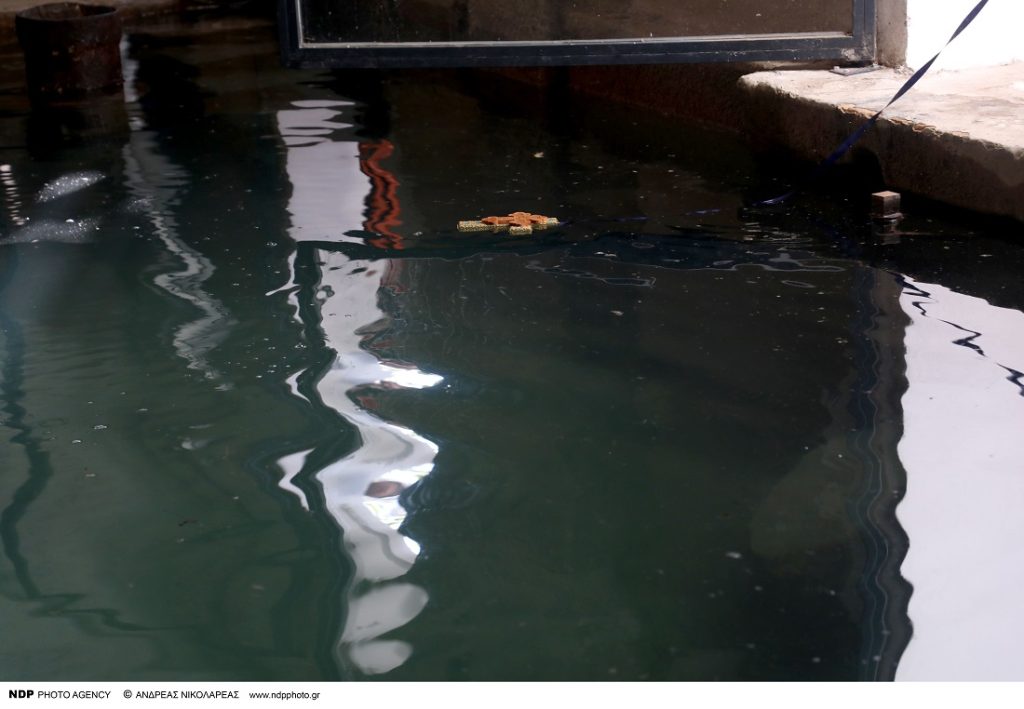 Θεοφάνια – Χαλκίδα: Συγκίνησε 20χρονος φοιτητής που έπιασε τον Σταυρό για τον Γ.Δαμιανό που τραυματίστηκε στην Αμάρυνθο