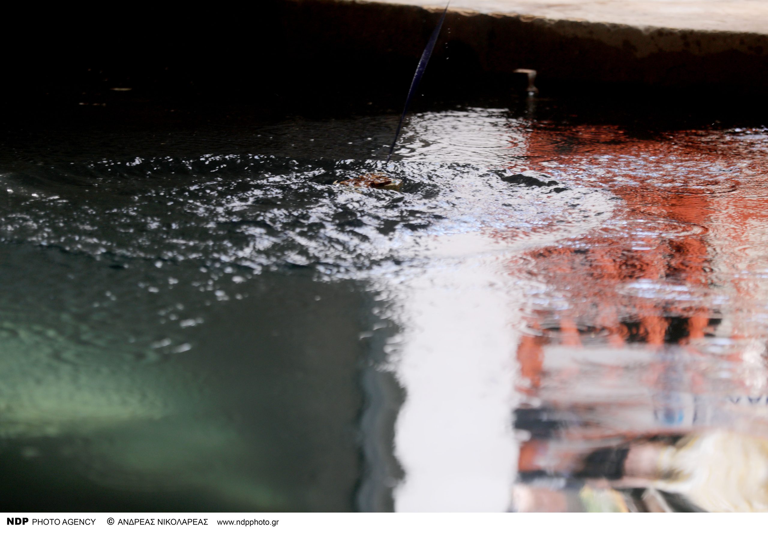 Θεοφάνια στη Θεσσαλονίκη: 39χρονος έπιασε για 18η φορά τον Σταυρό (βίντεο)